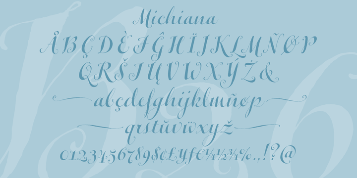 Michiana Pro Font插图5