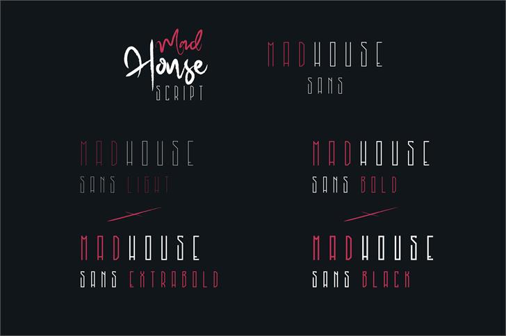 MadHouse Sanslight font插图1