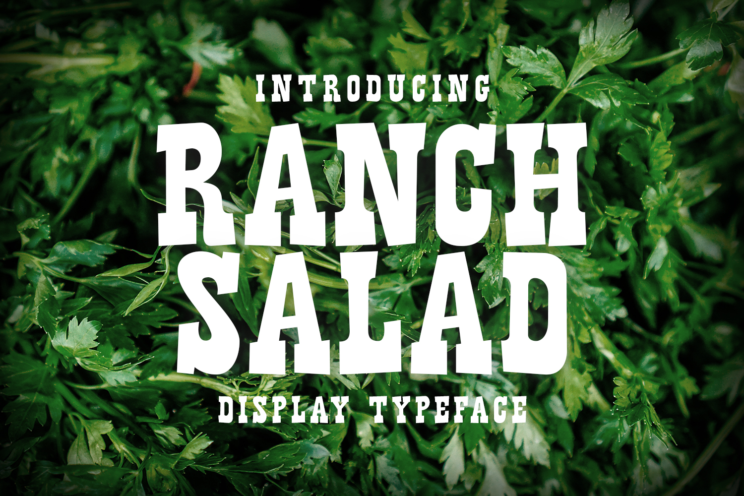 Ranch SaladOther Font插图