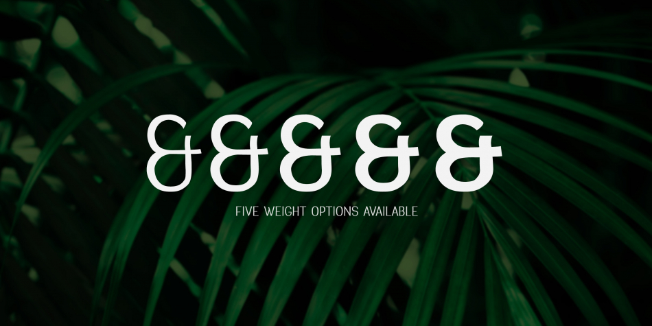 Greenstyle Font Family插图3