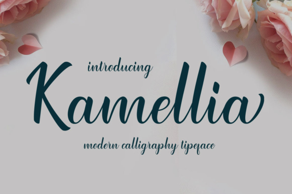 Kamellia Font插图