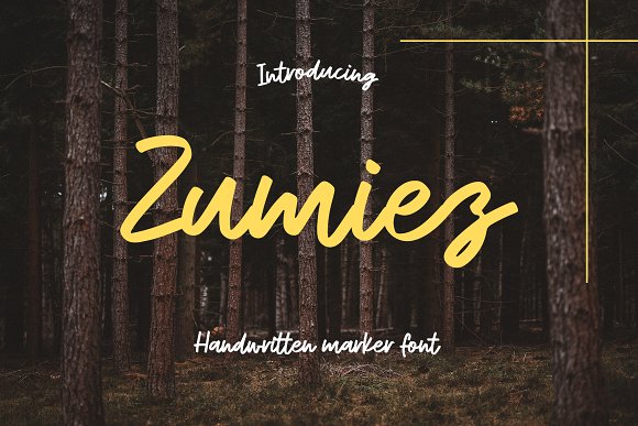 Zumiez Font插图