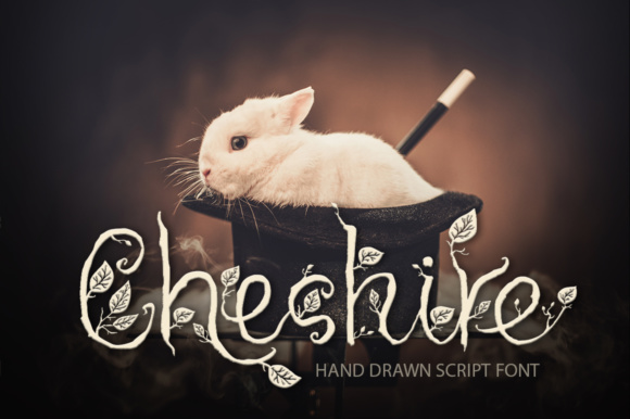 Cheshire Font插图