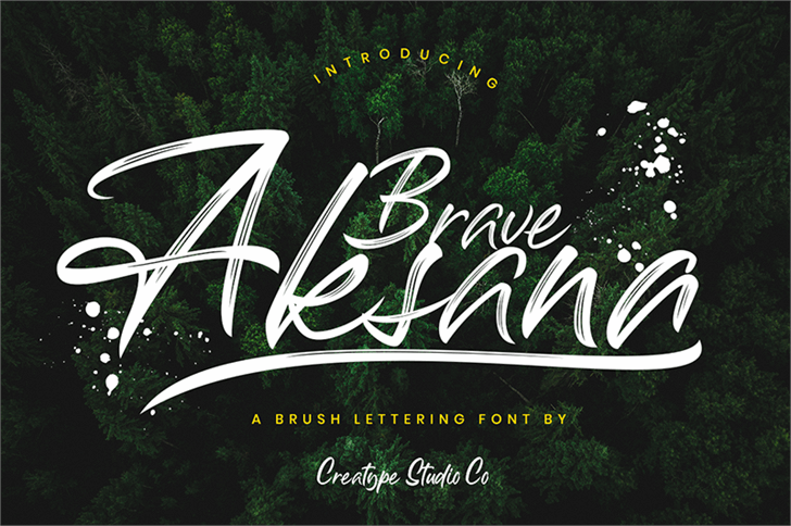 Aksana font插图