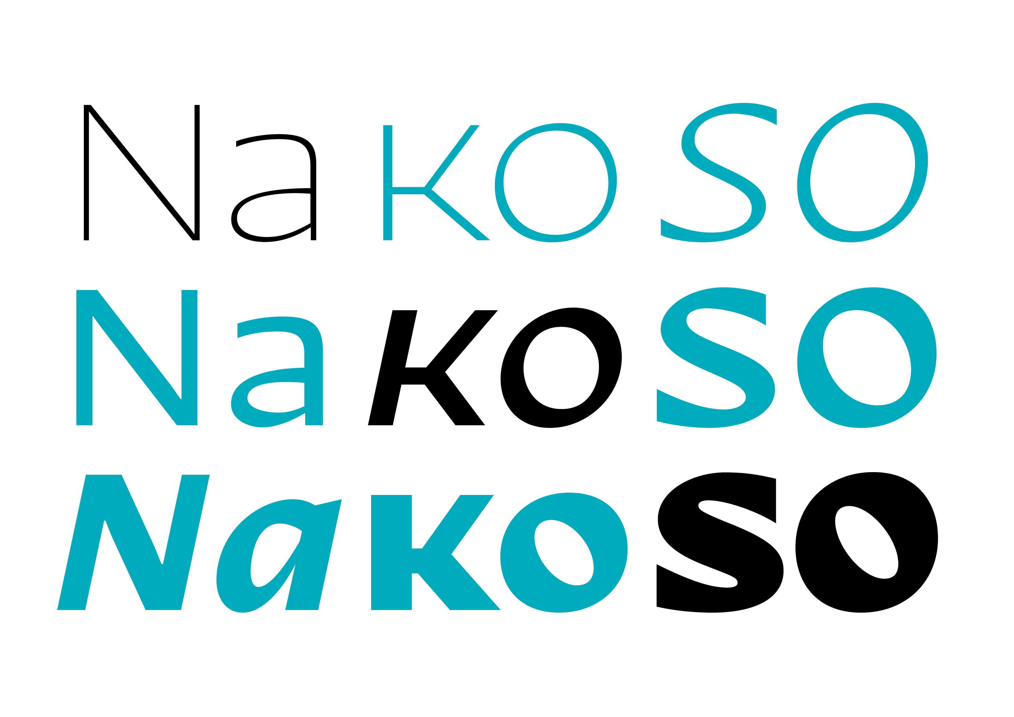 Nakoso Font Family插图