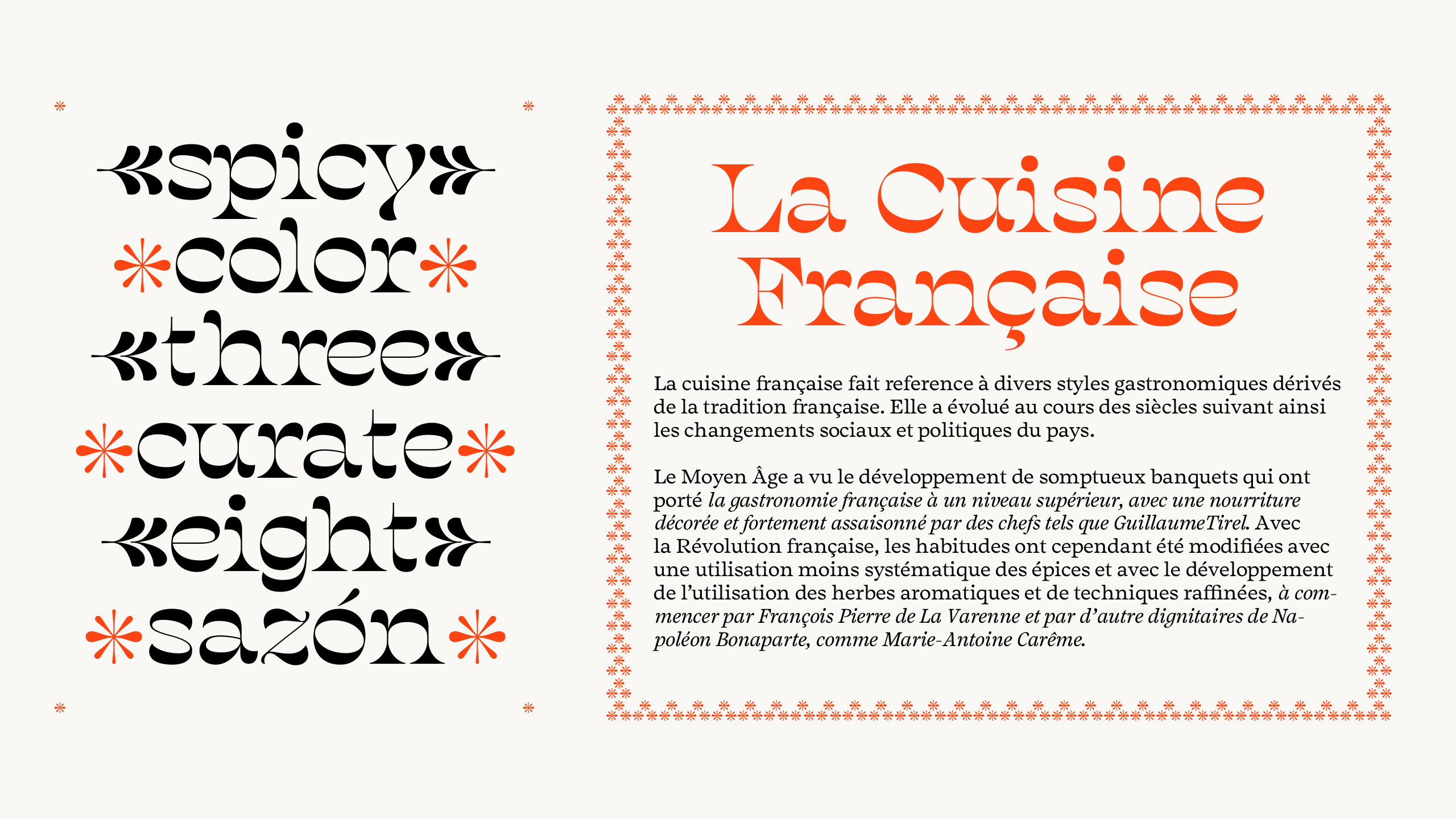 Salvaje Display Font Family插图13