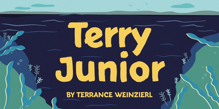 Terry Junior Font Family插图