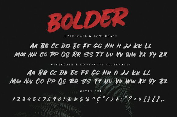 BOLDER – Smallcaps SVG Brush Font插图1