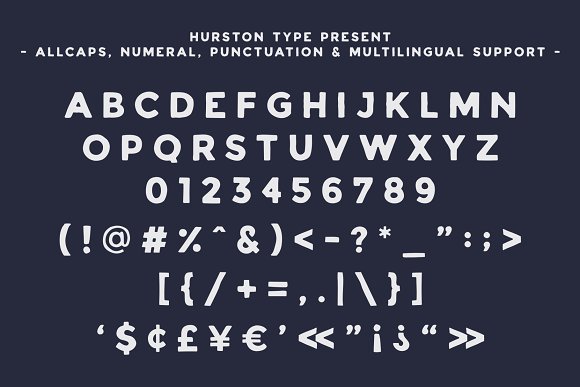 HURSTON TYPE插图1