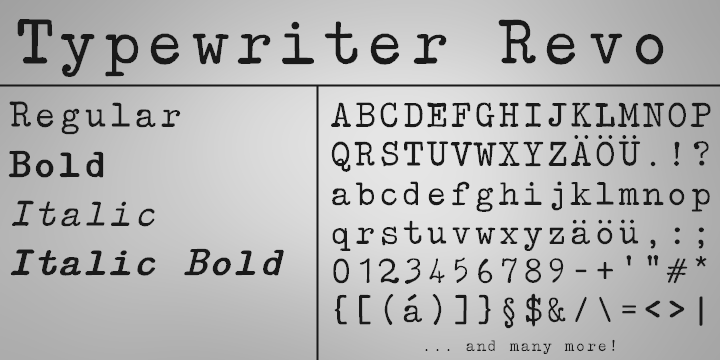 Typewriter Revo Font Family插图4