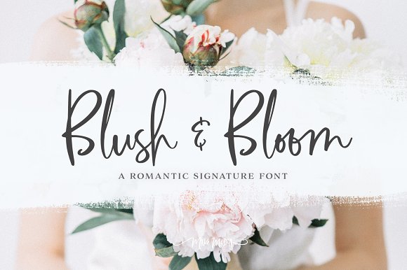 Blush & Bloom Signature Type插图