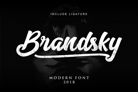 Brandsky Logo Font插图