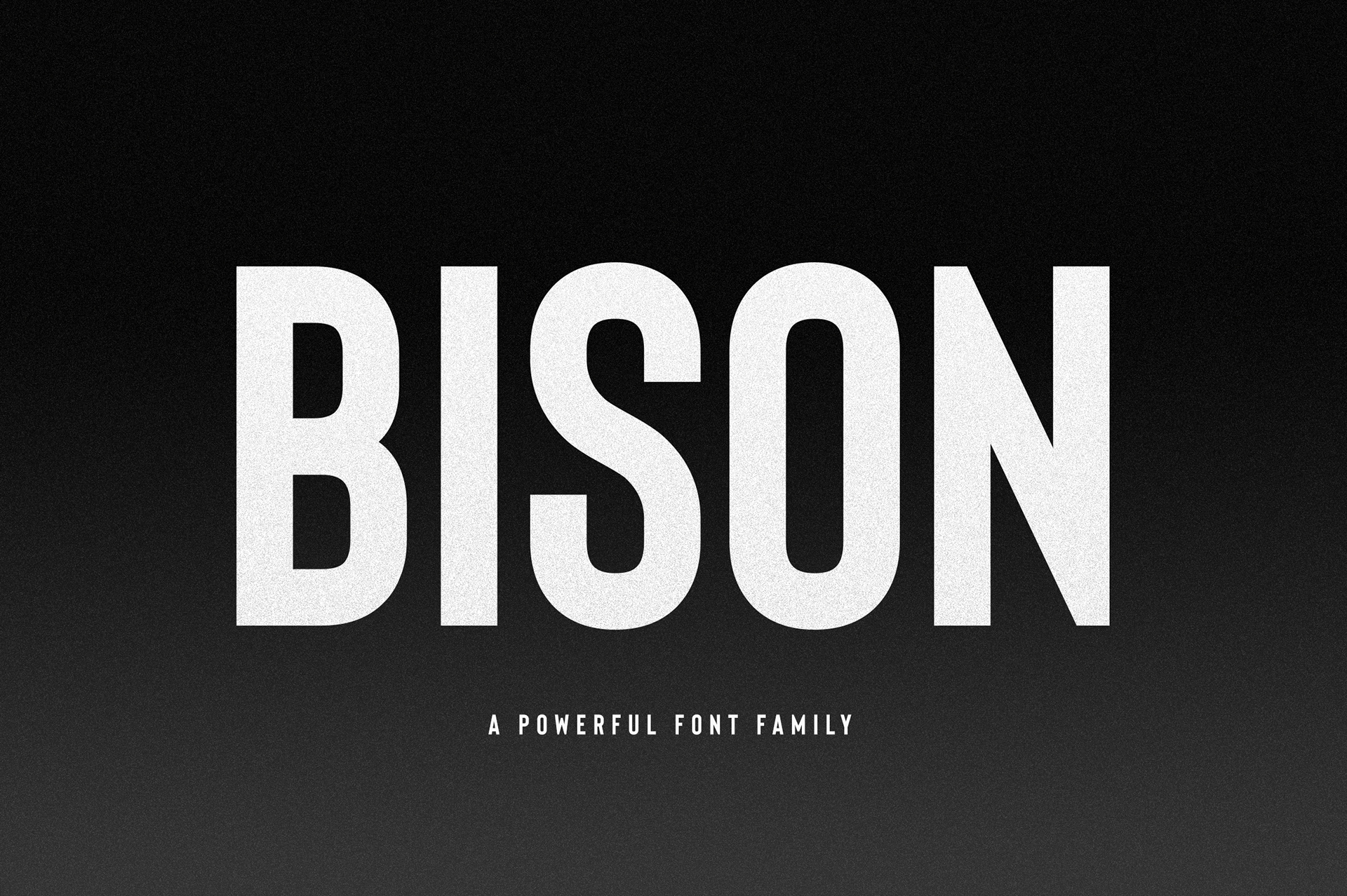 Bison Font Family插图