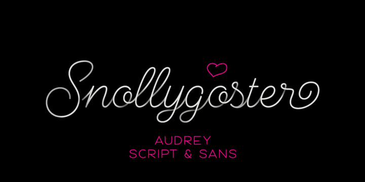 Audrey Font Family插图2