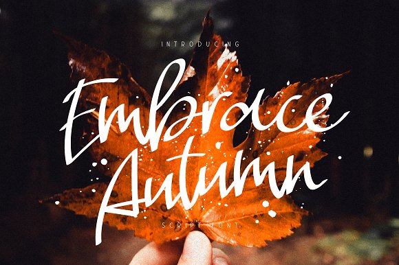Embrace Autumn插图