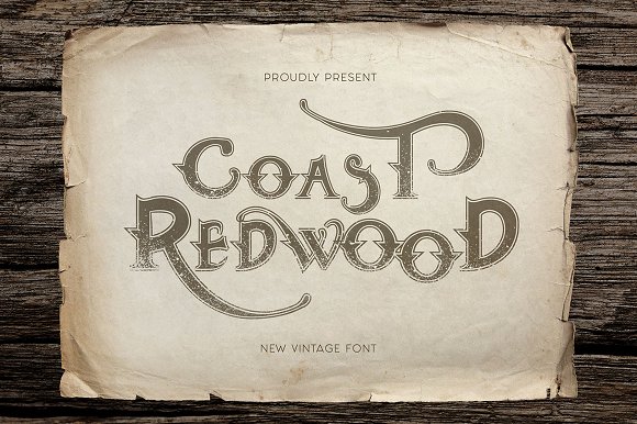 Coast Redwood插图