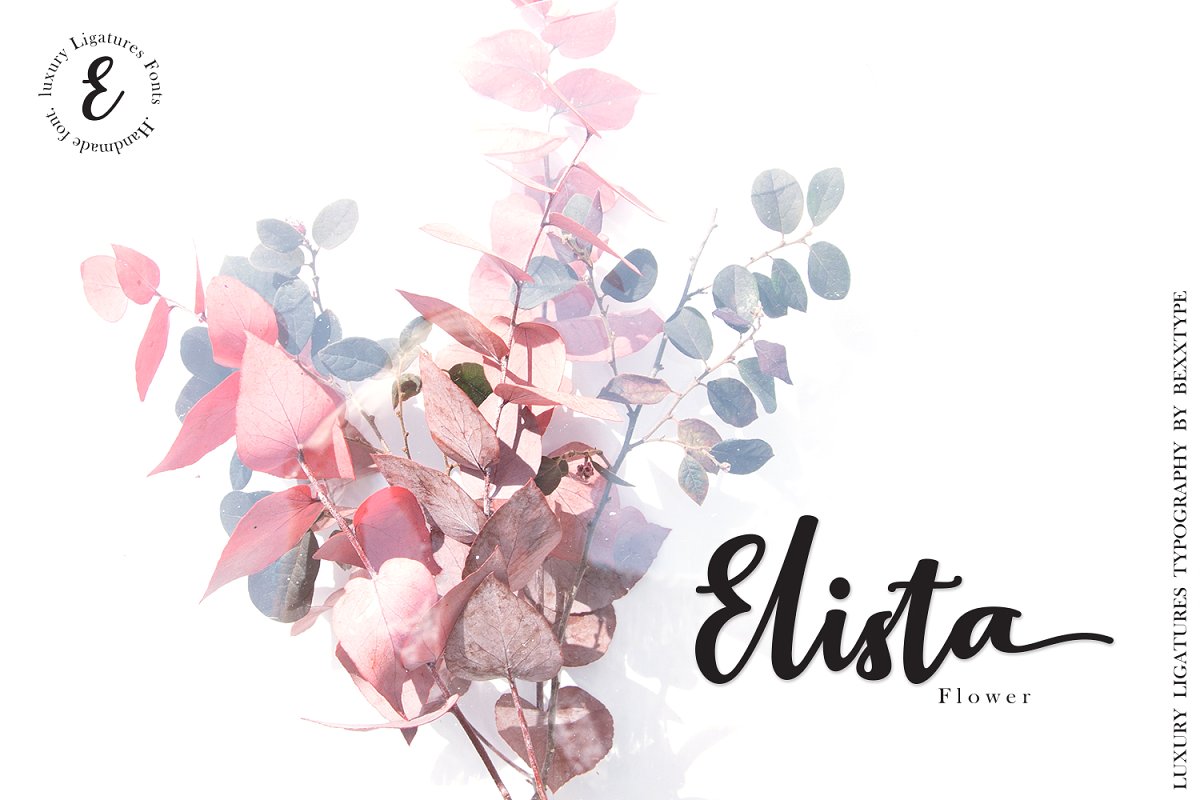 Elistabeta luxury ligature Font插图3