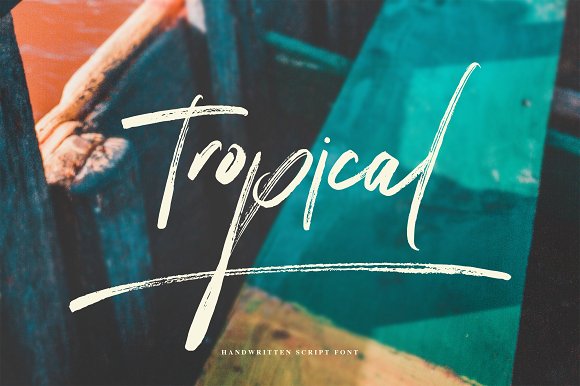 Tropical Font插图