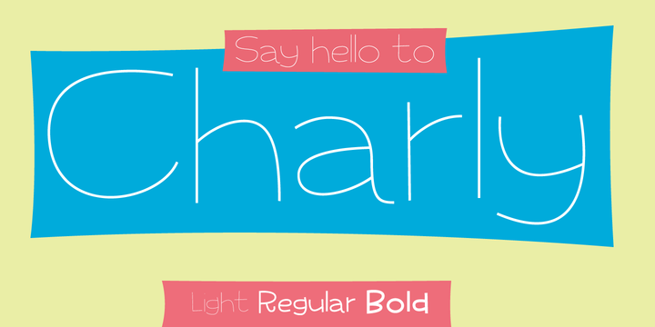 Charly Font Family插图