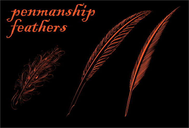 Penmanship Feathers font插图