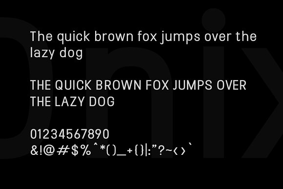 ONIX – Stylish Typeface + Web Fonts插图3