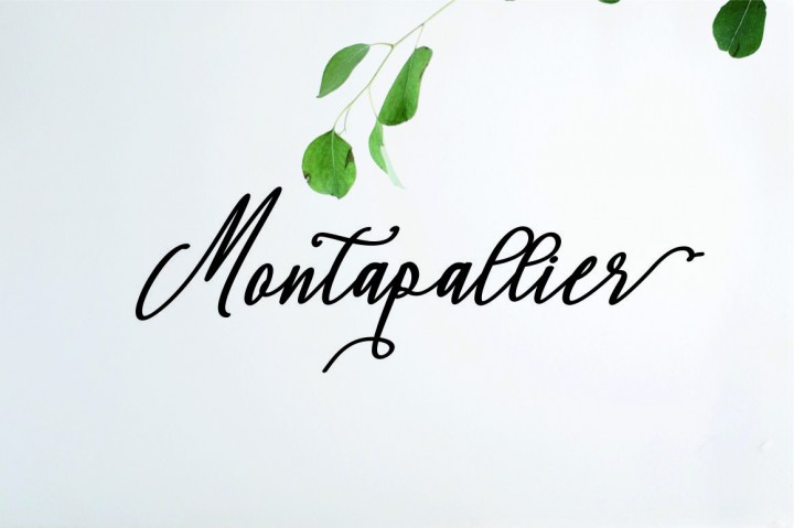 Montapallier Font duo插图