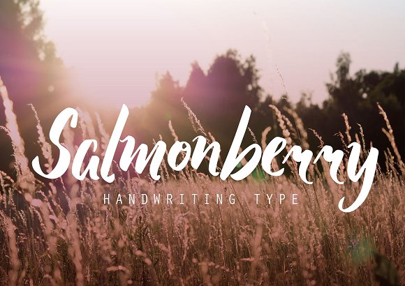 Salmonberry Font插图