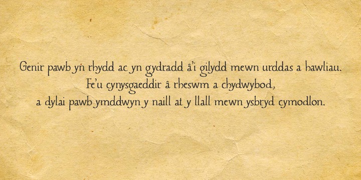 Caerphilly Font Family插图3