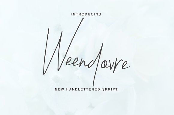 Weendovre Font插图