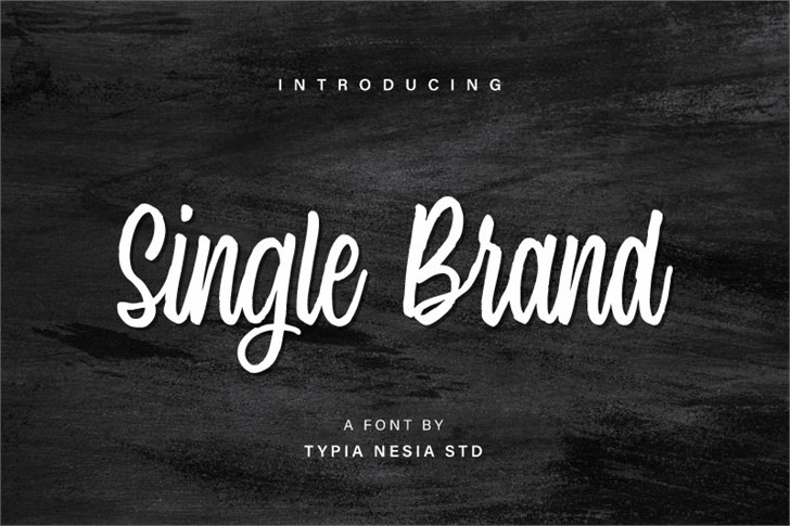 Single Brand Demo font插图