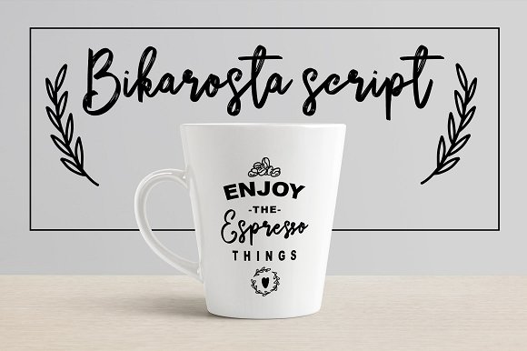 Bikarosta Font Duo with Extras插图2