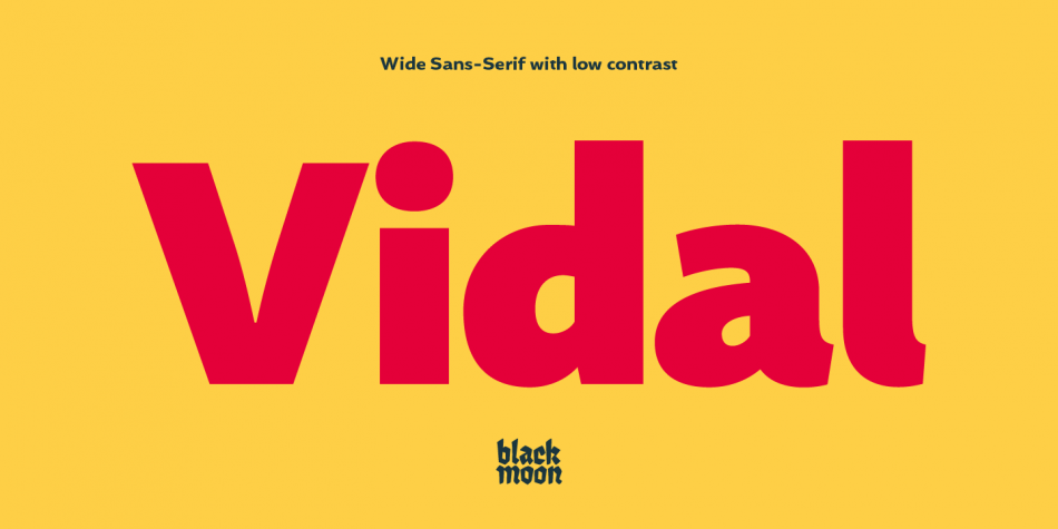 Vidal Font Family插图