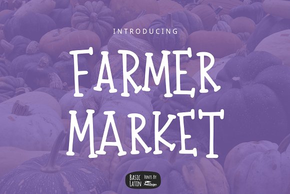 Farmer Market Simple Font插图