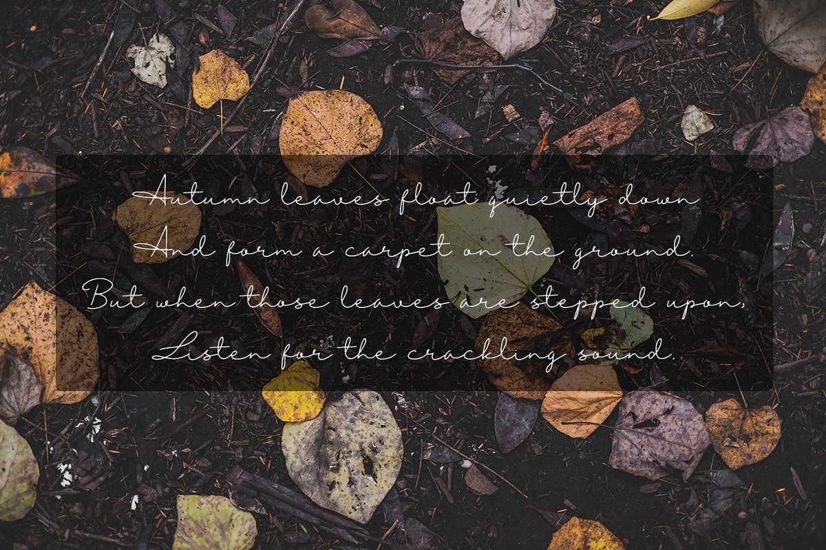Autumn Mood Font插图2