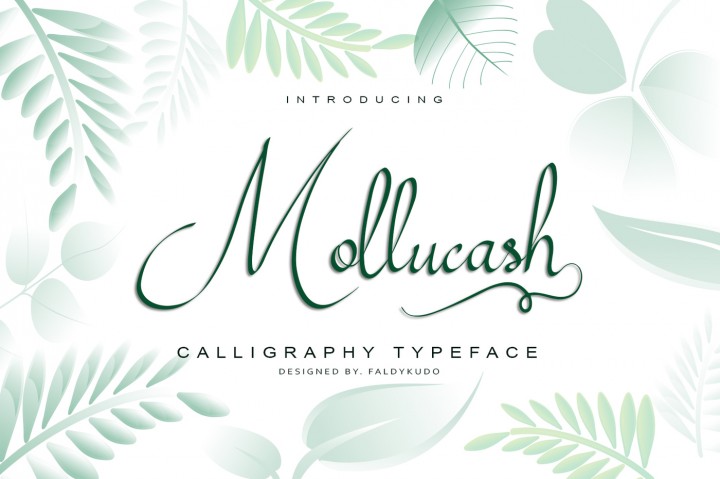 Mollucash Font插图1