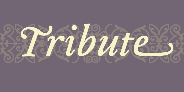 Tribute Font Family插图