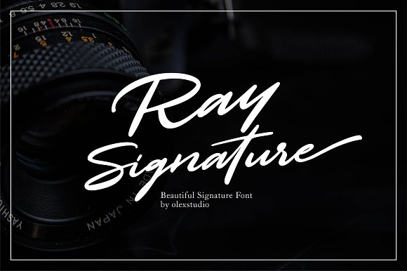 Ray Signature Font插图