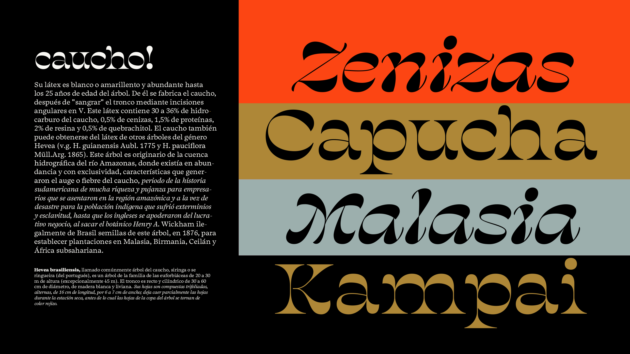 Salvaje Display Font Family插图4