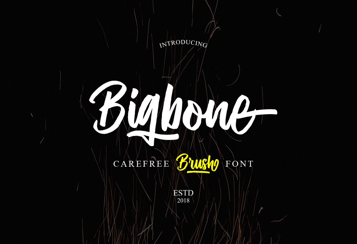 Bigbone Font插图