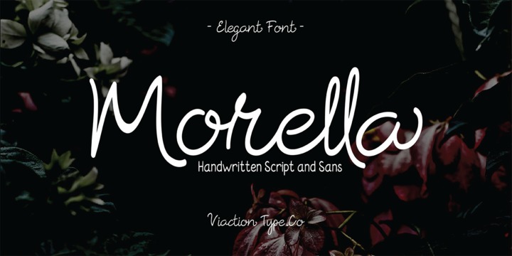 Morella Font Family插图