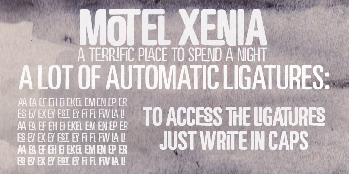 Motel Xenia Font Family插图