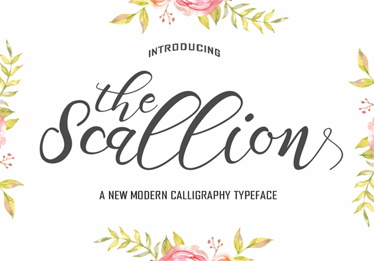 Scallion font插图