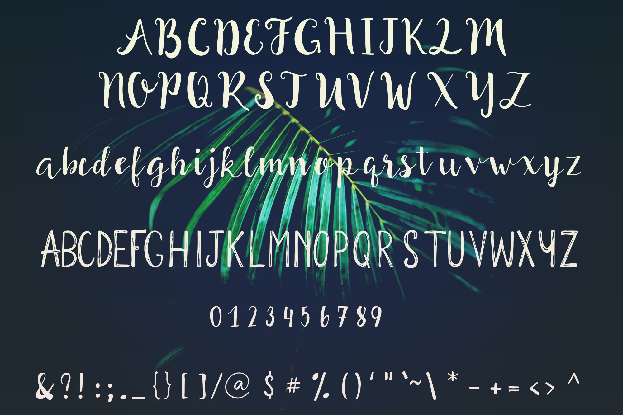 Smoothie Font Duo插图3