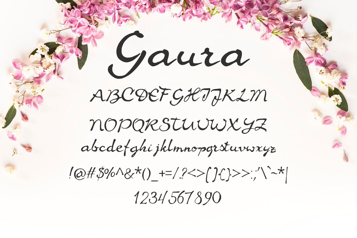 Gaura Font插图1