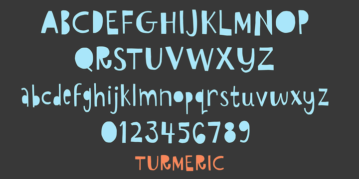 Turmeric Font插图1