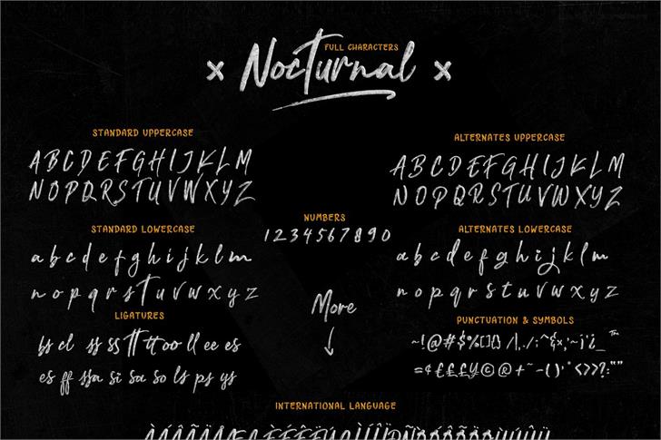 Nocturnal font插图7