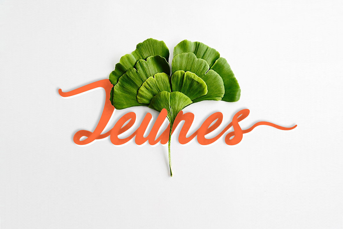 Jeunes Font插图