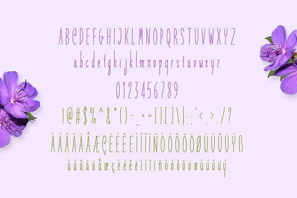 Queenship Typeface插图3