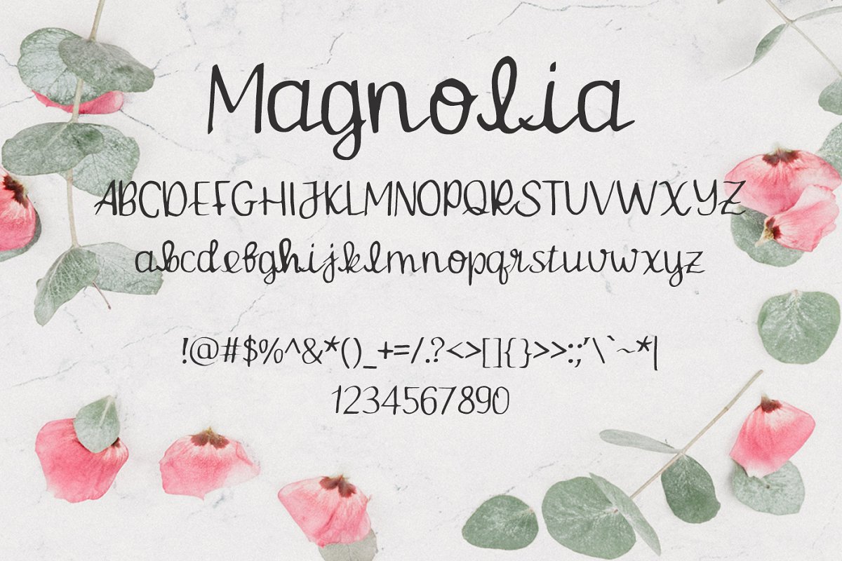 Magnolia Font插图2