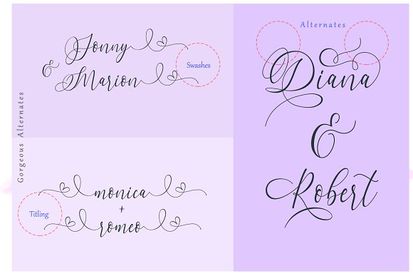 Dialova – Beautiful Calligraphy Font插图3